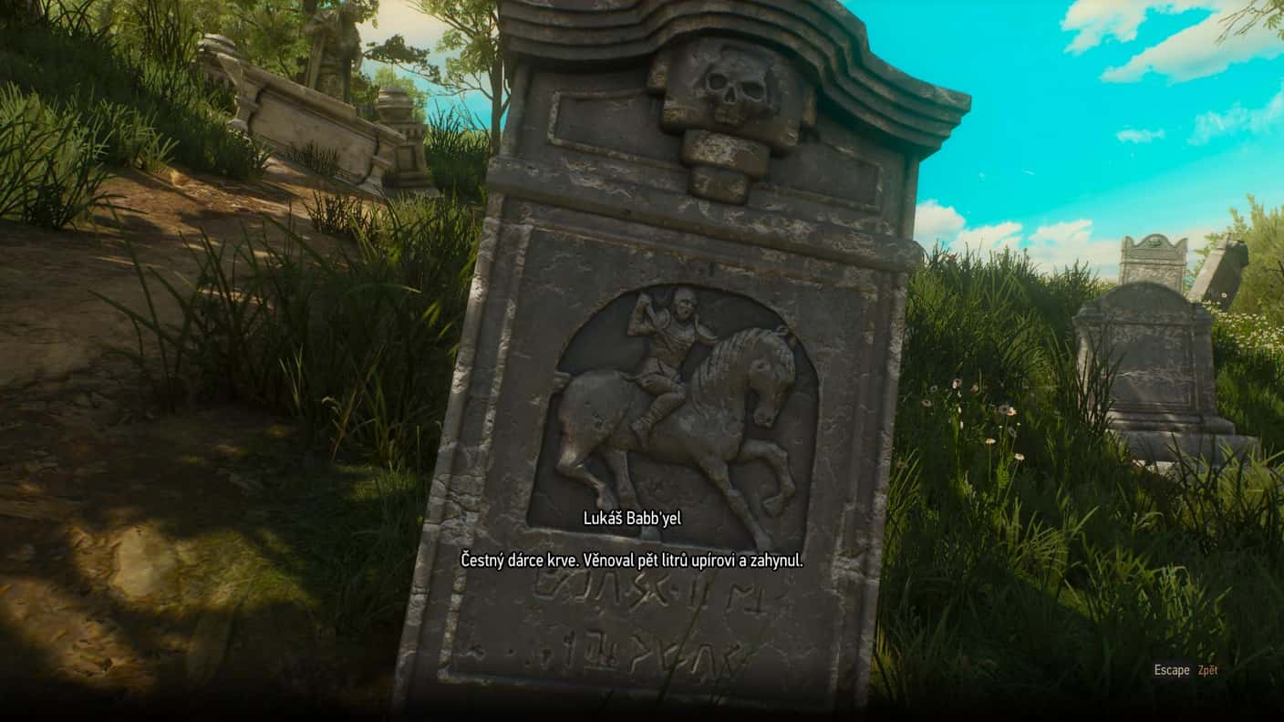 witcher3 2016-06-01 20-45-58-91