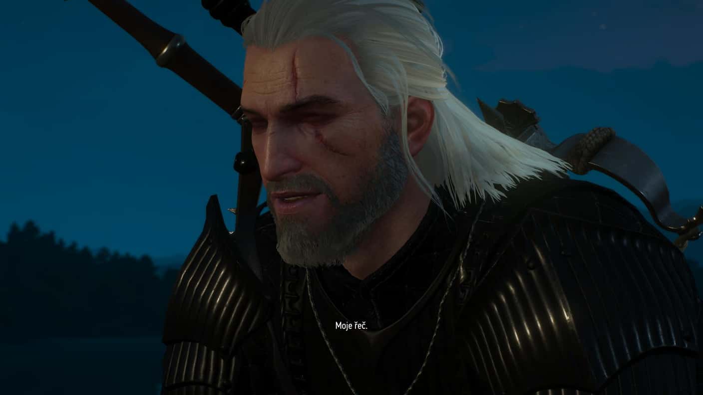witcher3 2016-06-06 00-39-04-13
