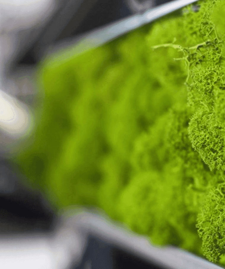 Sion-Solar-Electric-Car-Battery