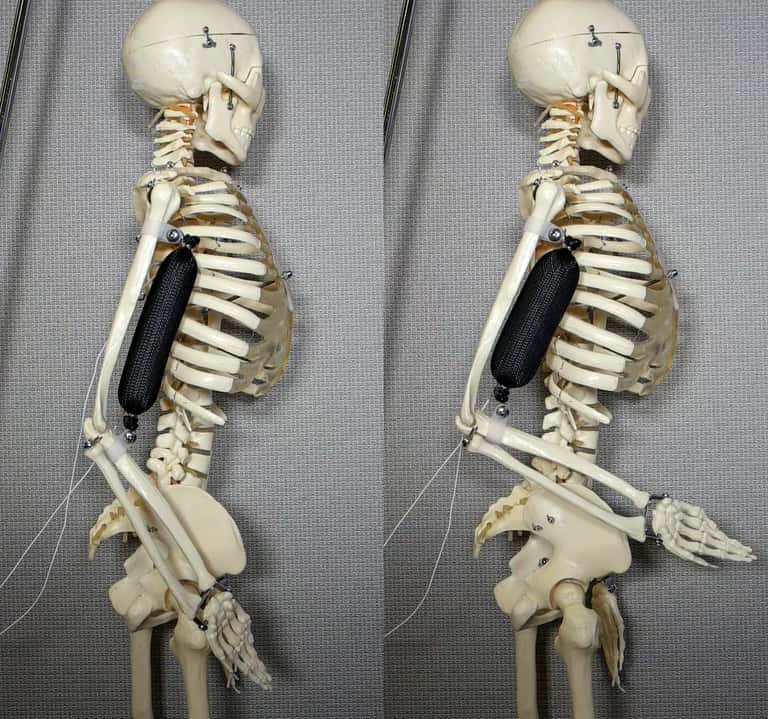 Artificial_Muscle