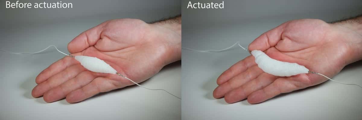 Muscle-on-hand