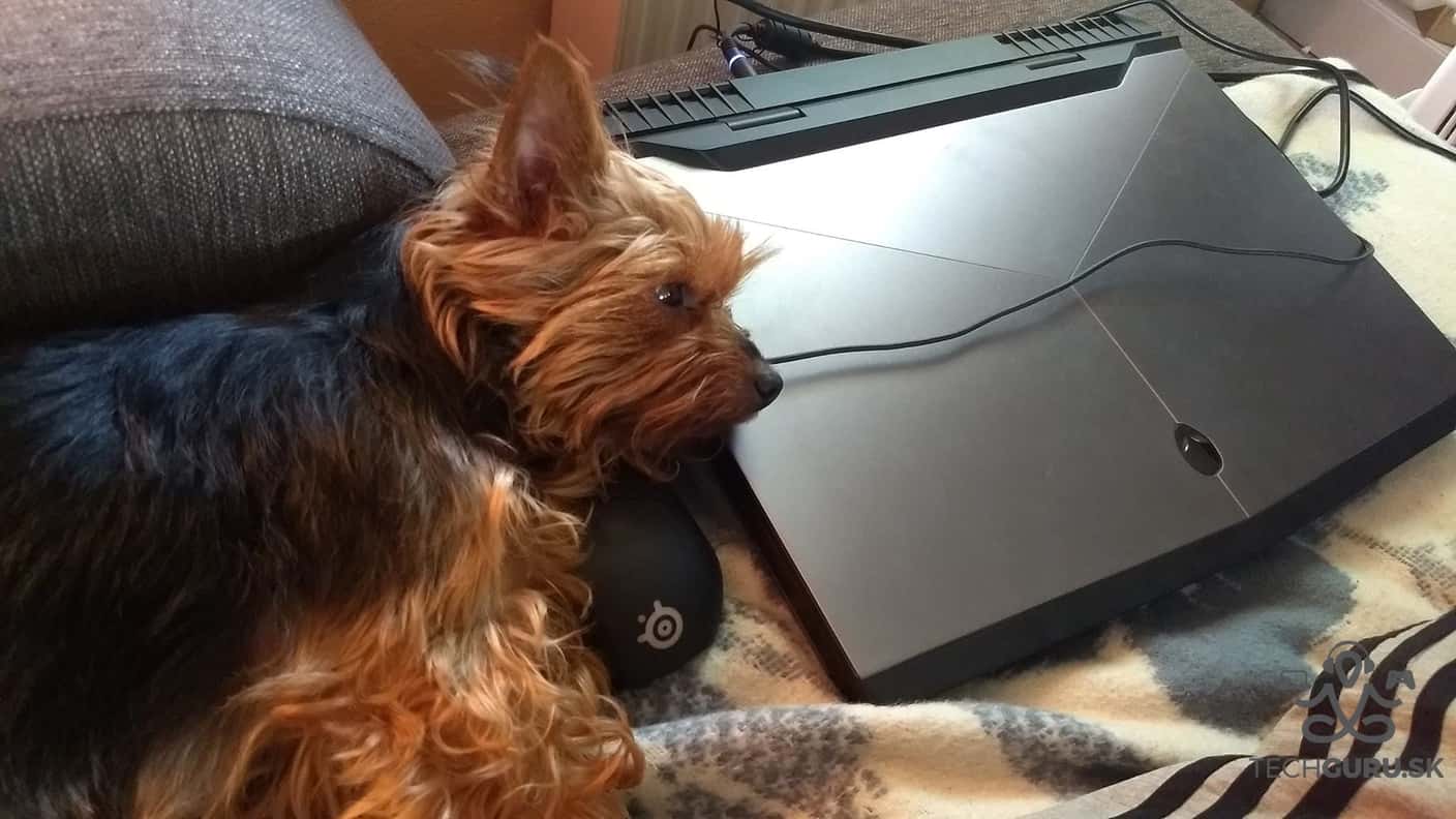 Tinka testuje Alienware