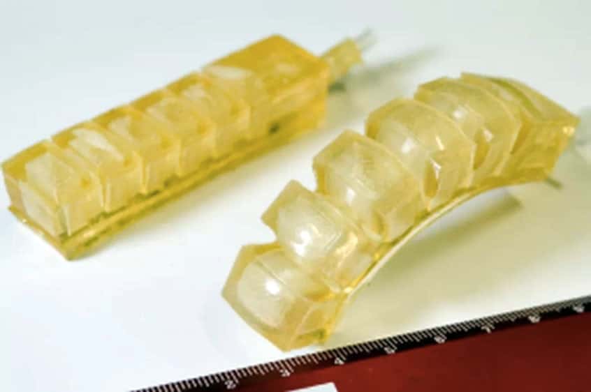 Jedlé robotické prsty