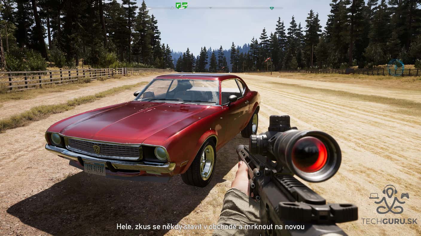 Far Cry 5 31