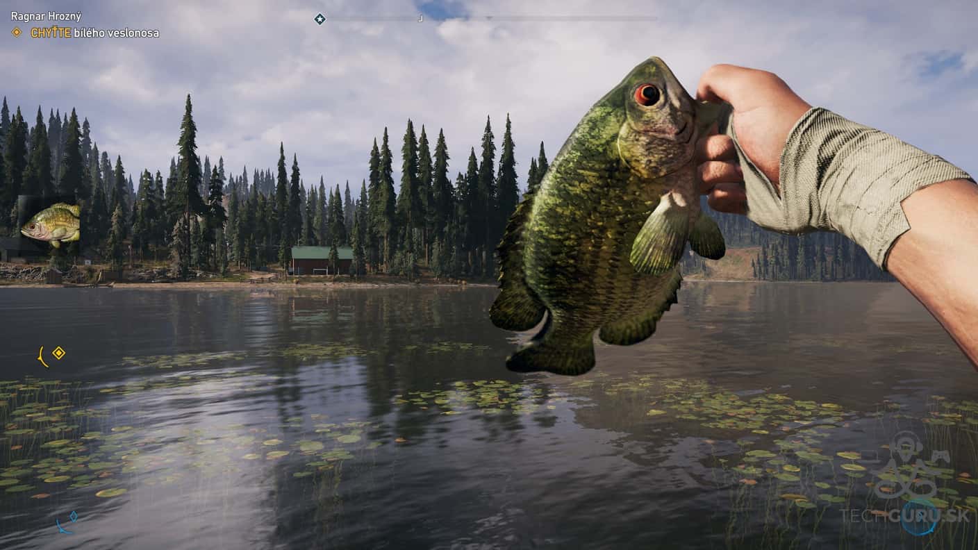 Far Cry 5 30