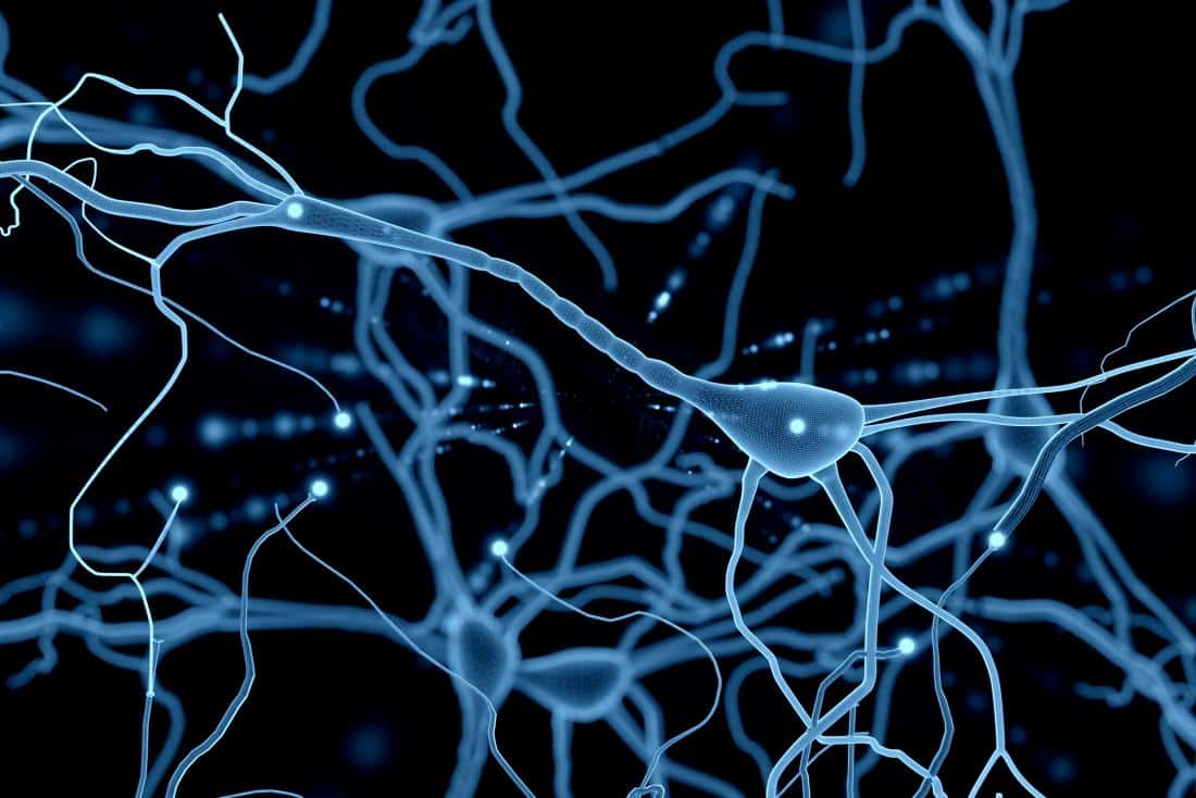 Technologická singularita - neurón