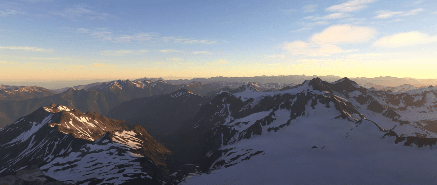 Microsoft Flight Simulator