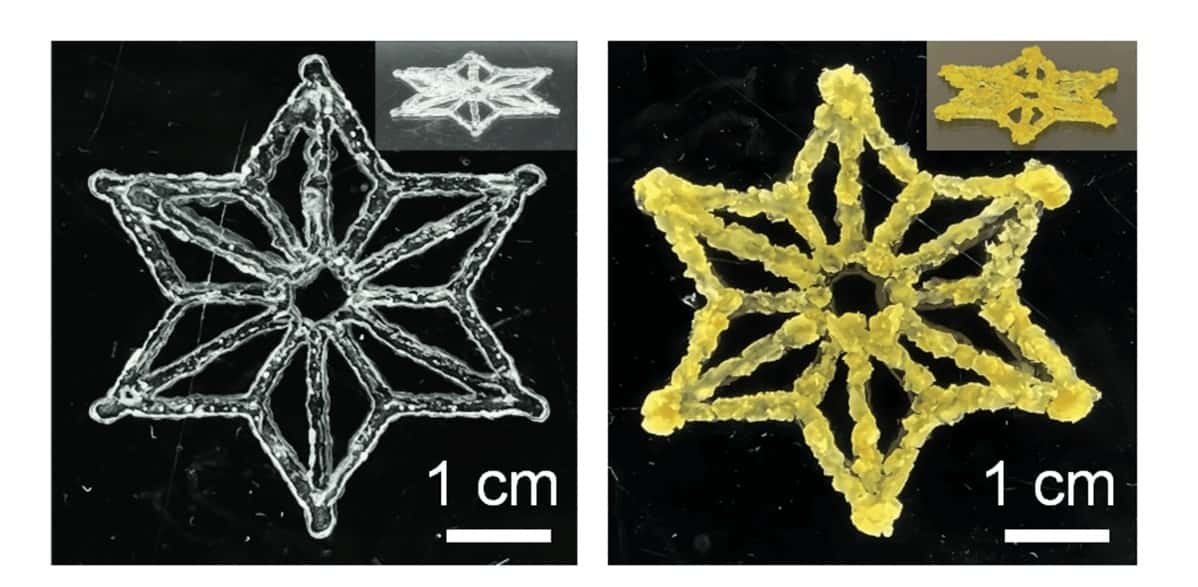 Vedci tlačia živý 3D atrament z buniek tabaku