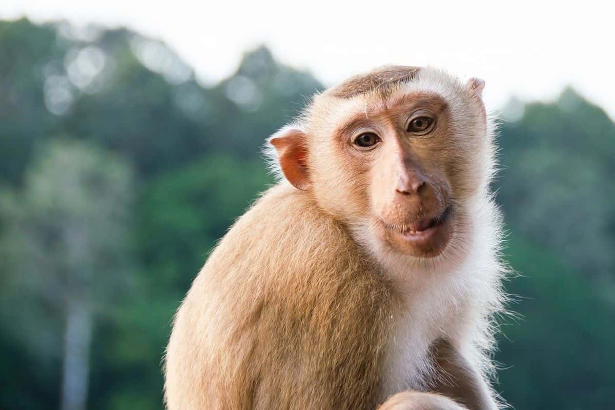 Zaujímavý objav: Bežný liek by mohol byť elixír mladosti