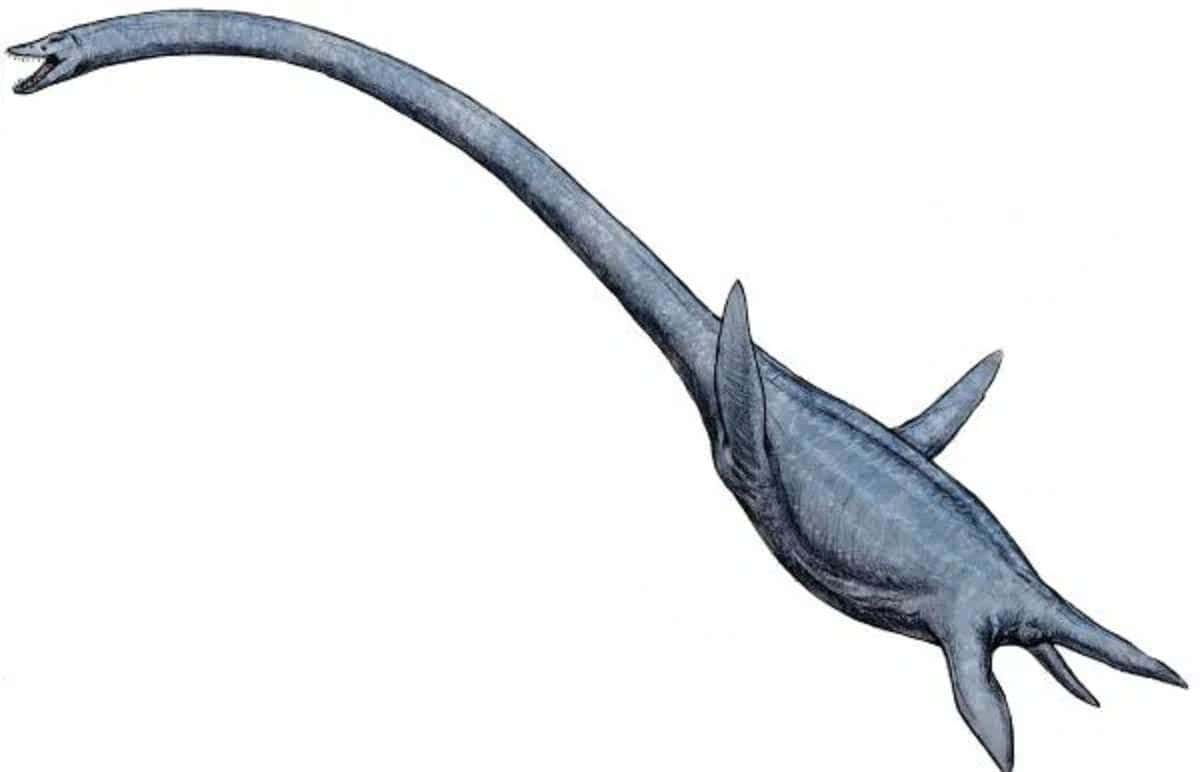 Vedci identifikovali nový druh dravého elasmosaura: Traskasaura sandrae